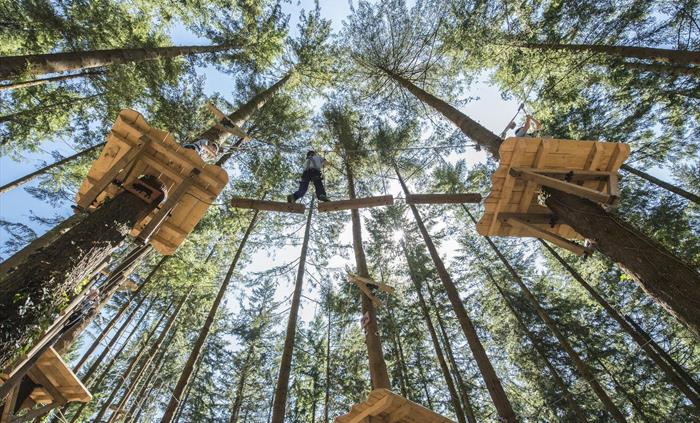 Tree Hoppers is perfect for ages 5+